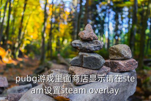 pubg游戏里面商店显示请在steam设置steam overlay