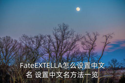 FateEXTELLA怎么设置中文名 设置中文名方法一览