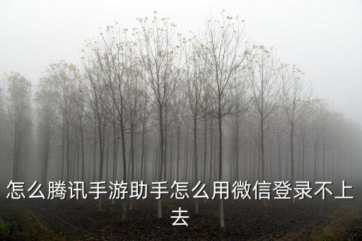 腾讯手游登录不了微信怎么办，腾讯手机游戏用QQ登陆不上去微信能登上去