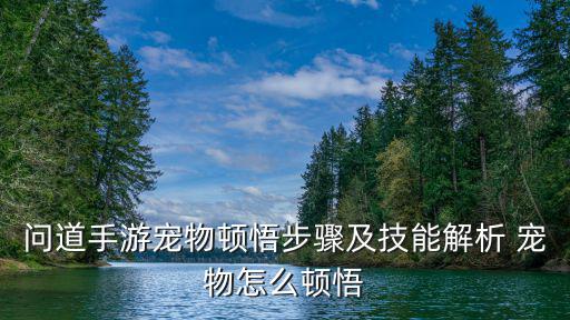 问道手游狗技能怎么用视频，问道手游怎样控制宠物使用技能