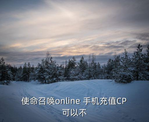 使命召唤online 手机充值CP可以不