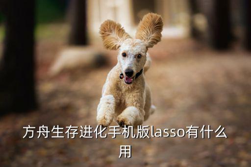 方舟生存进化手机版lasso有什么用