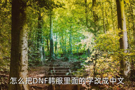 怎么把DNF韩服里面的字改成中文