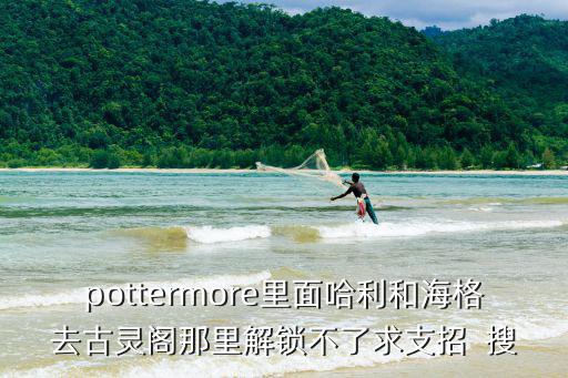 pottermore里面哈利和海格去古灵阁那里解锁不了求支招  搜