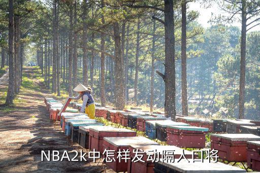 NBA2k中怎样发动隔人口将