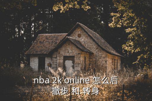 2k22手游怎么撤步，nba2k online怎么后撤步