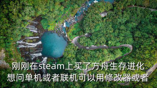 刚刚在steam上买了方舟生存进化想问单机或者联机可以用修改器或者