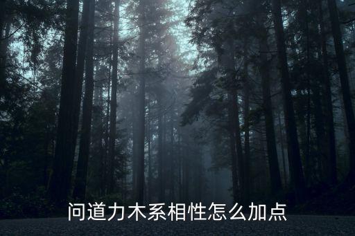 问道力木系相性怎么加点