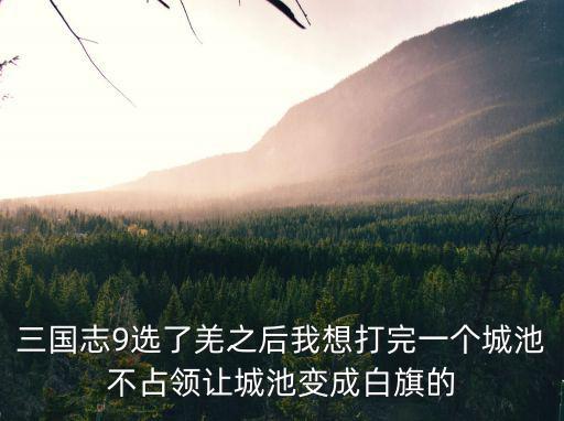 三国志9选了羌之后我想打完一个城池不占领让城池变成白旗的