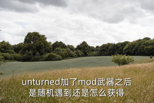 unturned加了mod武器之后是随机遇到还是怎么获得