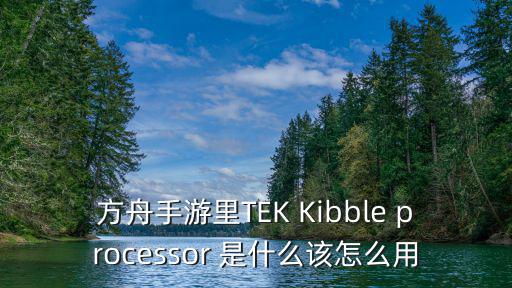 方舟手游里TEK Kibble processor 是什么该怎么用