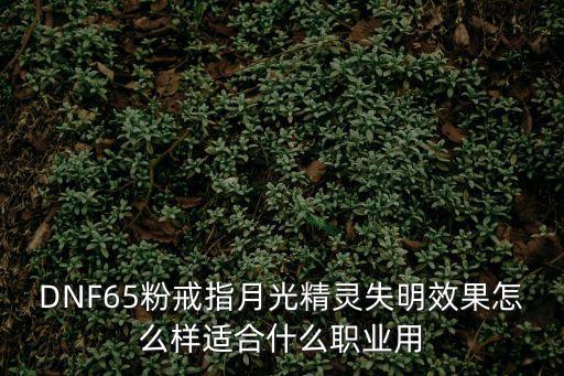 DNF65粉戒指月光精灵失明效果怎么样适合什么职业用