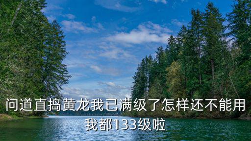 问道直捣黄龙我已满级了怎样还不能用我都133级啦