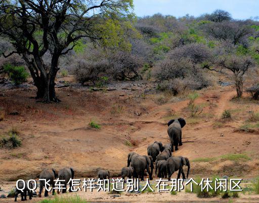 QQ飞车怎样知道别人在那个休闲区