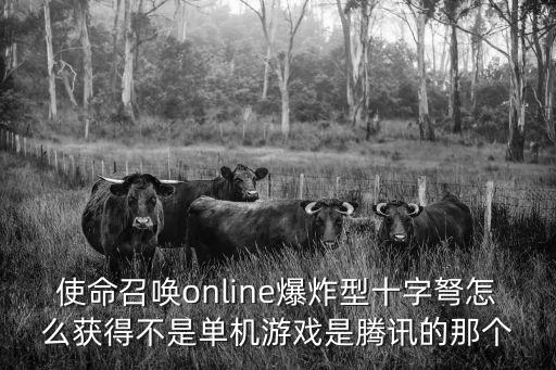 使命召唤online爆炸型十字弩怎么获得不是单机游戏是腾讯的那个