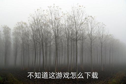 不知道这游戏怎么下载