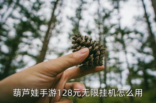 葫芦娃手游128元无限挂机怎么用