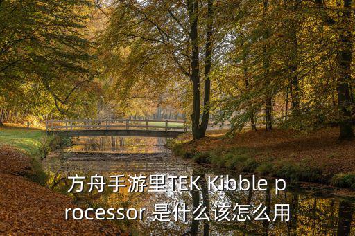 方舟手游里TEK Kibble processor 是什么该怎么用