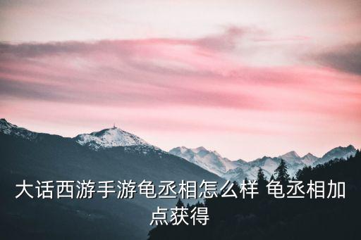 手游大话龟丞相怎么加点，龟丞相怎么加点