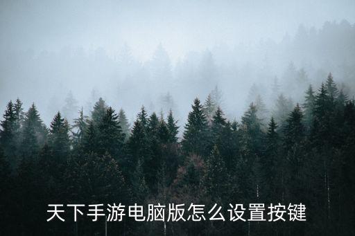 天刀手游用电脑玩快捷键怎么设置，笔记本电脑耍游戏的时候快捷键怎么设置