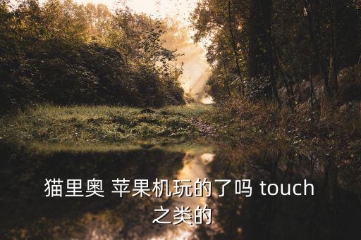 猫里奥 苹果机玩的了吗 touch 之类的