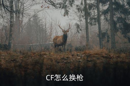 CF怎么换枪