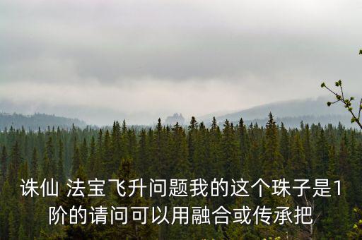 诛仙 法宝飞升问题我的这个珠子是1阶的请问可以用融合或传承把