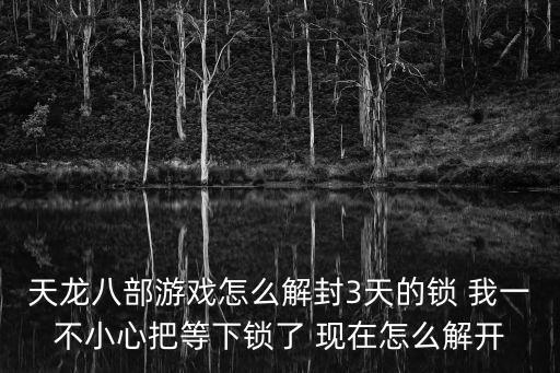 天龙八部游戏怎么解封3天的锁 我一不小心把等下锁了 现在怎么解开