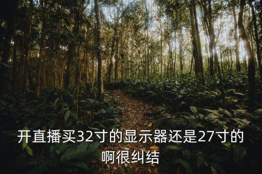 开直播买32寸的显示器还是27寸的啊很纠结