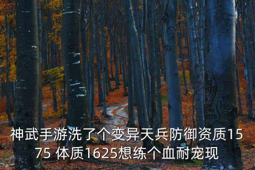 神武4手游怎么提前洗宠，神武手游洗了只4技能变异天兵功资1510体资1500防资1410速度