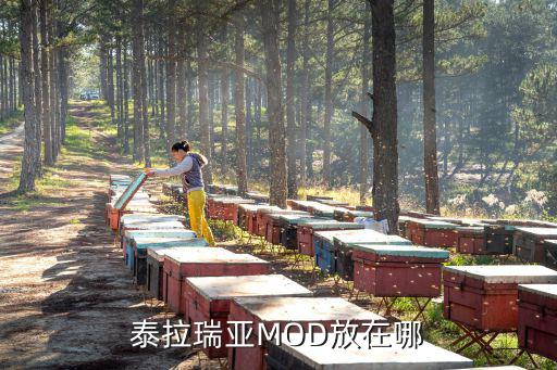 泰拉瑞亚MOD放在哪