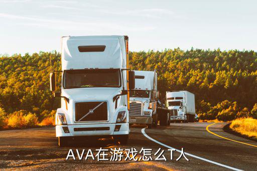 AVA在游戏怎么T人