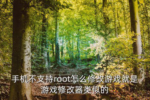 手机不支持root怎么修改游戏就是游戏修改器类似的