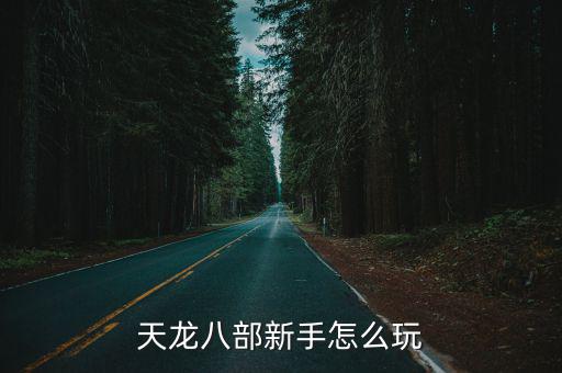 天龙八部新手怎么玩