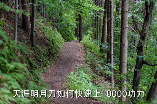 天涯明月刀如何快速上10000功力