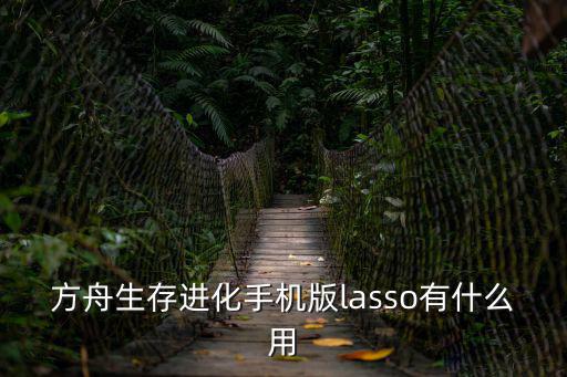 方舟生存进化手机版lasso有什么用