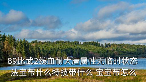 89比武2线血耐大唐属性无临时状态 法宝带什么特技带什么 宝宝带怎么