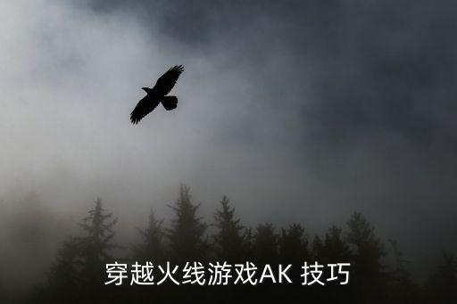 穿越火线游戏AK 技巧