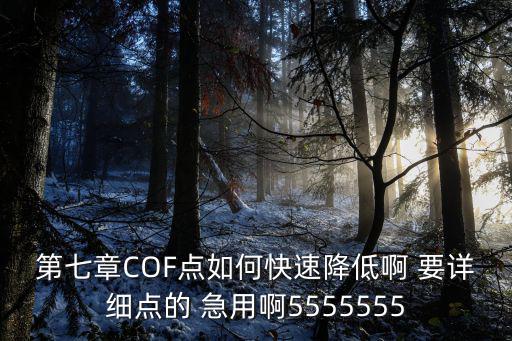 第七章COF点如何快速降低啊 要详细点的 急用啊5555555