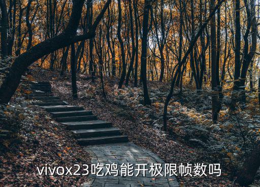 vivox23吃鸡能开极限帧数吗