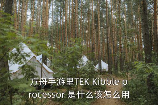 方舟手游里TEK Kibble processor 是什么该怎么用