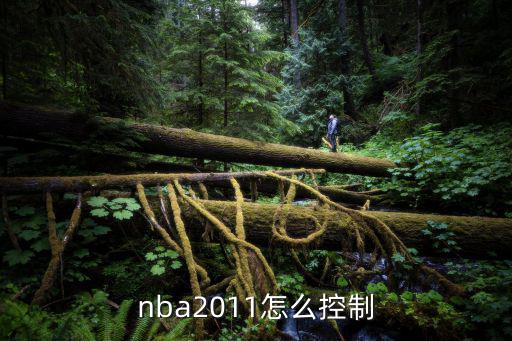 nba2011怎么控制