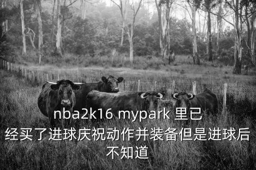 nba2k16 mypark 里已经买了进球庆祝动作并装备但是进球后不知道