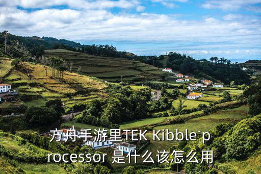 方舟手游里TEK Kibble processor 是什么该怎么用