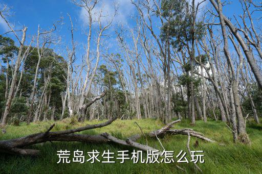 荒岛求生手机版怎么玩