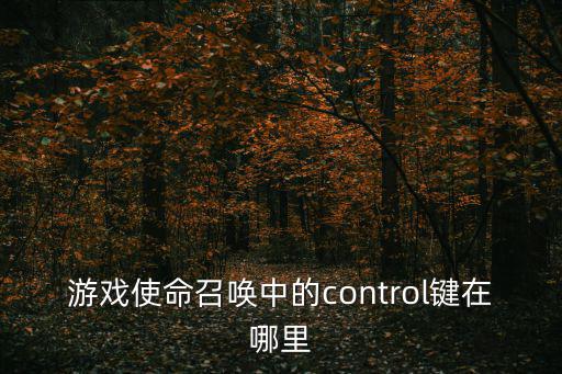 游戏使命召唤中的control键在哪里