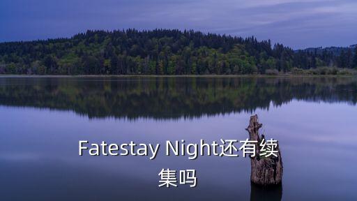 Fatestay Night还有续集吗