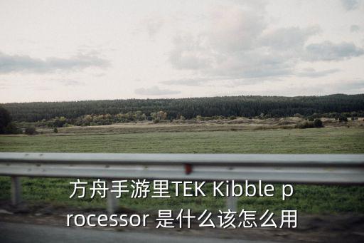 方舟手游版蜂蜜怎么放，方舟手游里TEK Kibble processor 是什么该怎么用