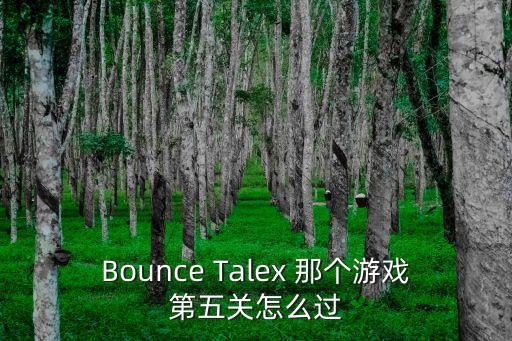 Bounce Talex 那个游戏第五关怎么过