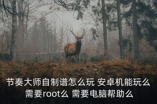 节奏大师自制谱怎么玩 安卓机能玩么 需要root么 需要电脑帮助么